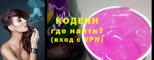крисы Каменка
