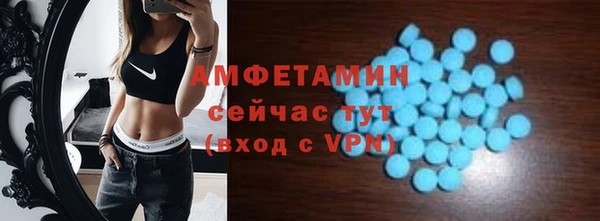 крисы Каменка