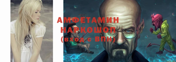 крисы Каменка