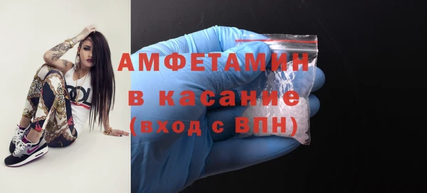 крисы Каменка