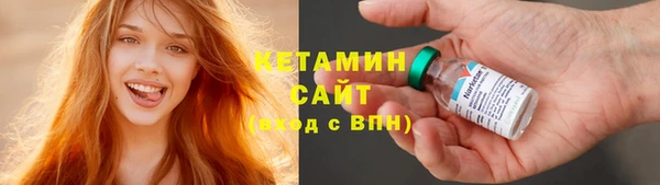 крисы Каменка
