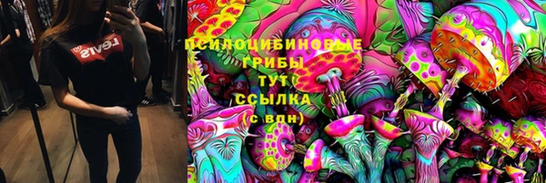 крисы Каменка