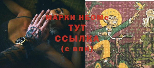 крисы Каменка