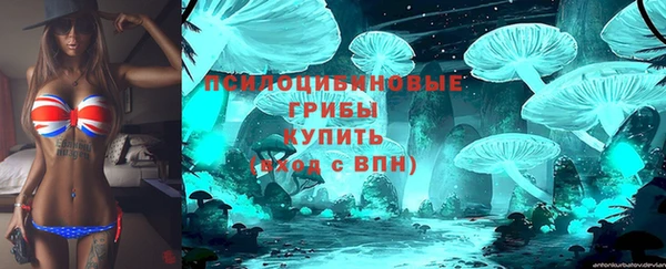 метадон Каменногорск