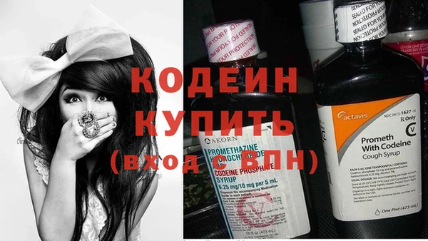 крисы Каменка