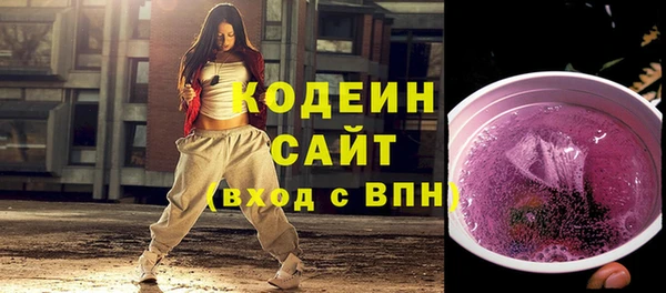 крисы Каменка