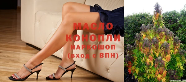 крисы Каменка