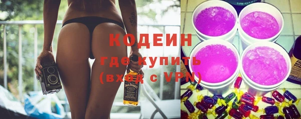 крисы Каменка